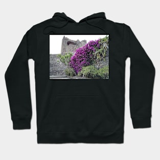 Violet wall flower Hoodie